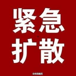 大爆料最新消息新闻,最新独家新闻震撼来袭，揭秘事件背后惊人真相！